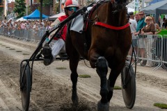 Zomerfestival.IJmuiden-2026-16-juli-TOBBEL-1256