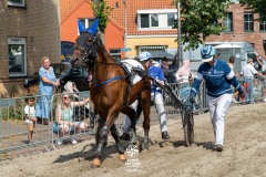 Zomerfestival.IJmuiden-2026-16-juli-TOBBEL-1273