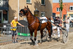 Zomerfestival.IJmuiden-2026-16-juli-TOBBEL-1275