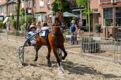 Zomerfestival.IJmuiden-2026-16-juli-TOBBEL-1281