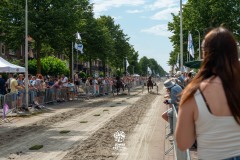 Zomerfestival.IJmuiden-2026-16-juli-TOBBEL-1288