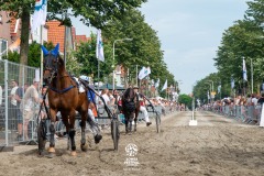 Zomerfestival.IJmuiden-2026-16-juli-TOBBEL-1302