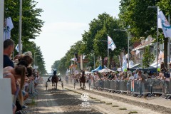 Zomerfestival.IJmuiden-2026-16-juli-TOBBEL-1318