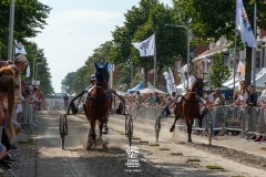 Zomerfestival.IJmuiden-2026-16-juli-TOBBEL-1320