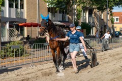 Zomerfestival.IJmuiden-2026-16-juli-TOBBEL-1343