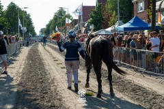 Zomerfestival.IJmuiden-2026-16-juli-TOBBEL-1374