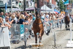 Tobias-Korte-Baan-Zomerfestival.IJmuiden-Donderdag-17-juli-2025-7528