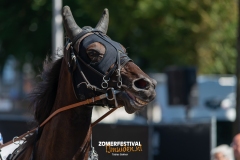 Tobias-Korte-Baan-Zomerfestival.IJmuiden-Donderdag-17-juli-2025-7567