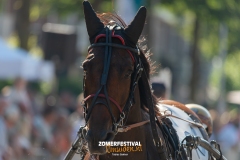 Tobias-Korte-Baan-Zomerfestival.IJmuiden-Donderdag-17-juli-2025-7689