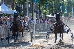 Tobias-Korte-Baan-Zomerfestival.IJmuiden-Donderdag-17-juli-2025-7693