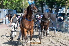 Tobias-Korte-Baan-Zomerfestival.IJmuiden-Donderdag-17-juli-2025-7698