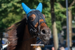 Tobias-Korte-Baan-Zomerfestival.IJmuiden-Donderdag-17-juli-2025-7699