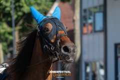 Tobias-Korte-Baan-Zomerfestival.IJmuiden-Donderdag-17-juli-2025-7700