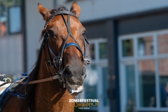 Tobias-Korte-Baan-Zomerfestival.IJmuiden-Donderdag-17-juli-2025-7714