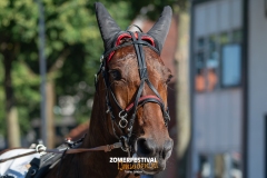 Tobias-Korte-Baan-Zomerfestival.IJmuiden-Donderdag-17-juli-2025-7717
