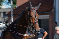 Tobias-Korte-Baan-Zomerfestival.IJmuiden-Donderdag-17-juli-2025-7736