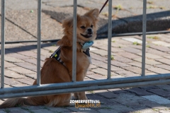 Tobias-Korte-Baan-Zomerfestival.IJmuiden-Donderdag-17-juli-2025-7748