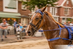 1_Tobbel-Donderdag-18-juli-Kortebaan-2941