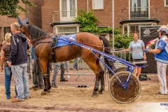 Tobbel-Donderdag-18-juli-Kortebaan-2968