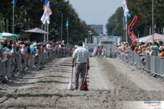 20180719-500_1281-Niels Broere-Zomerfestival2018