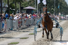 20180719-500_1304-Niels Broere-Zomerfestival2018