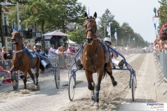 20180719-500_1389-Niels Broere-Zomerfestival2018