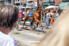 Zomerfestival-Harddraverij-Niels-Broere-5327