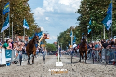 Zomerfestival-Harddraverij-Niels-Broere-5417