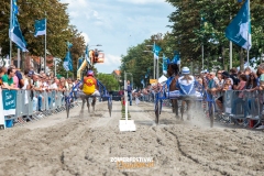 Zomerfestival-Harddraverij-Niels-Broere-5422