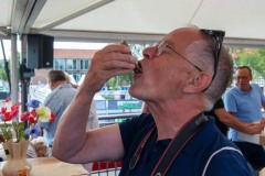 Zomerfestival.IJmuiden-2026-15-juli-TOBBEL-1135