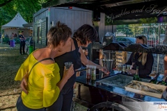 Tobbel-Zondag-21-juli-Optreden-van-Vrienden-van-Zomerfestival-IJmuiden-3840